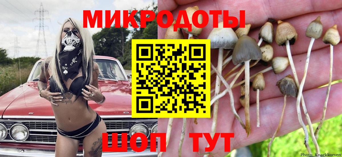 Псилоцибиновые грибы мицелий  Вход с VPN  Нарьян-Мар 