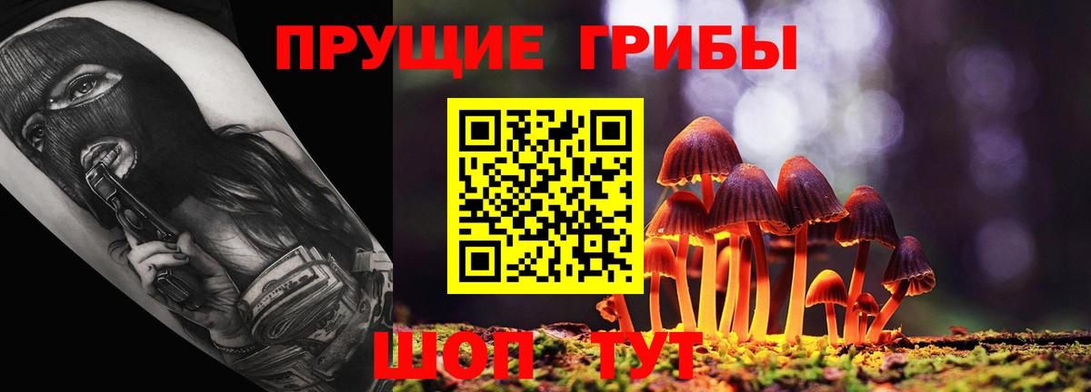 Псилоцибиновые грибы GOLDEN TEACHER Нарьян-Мар